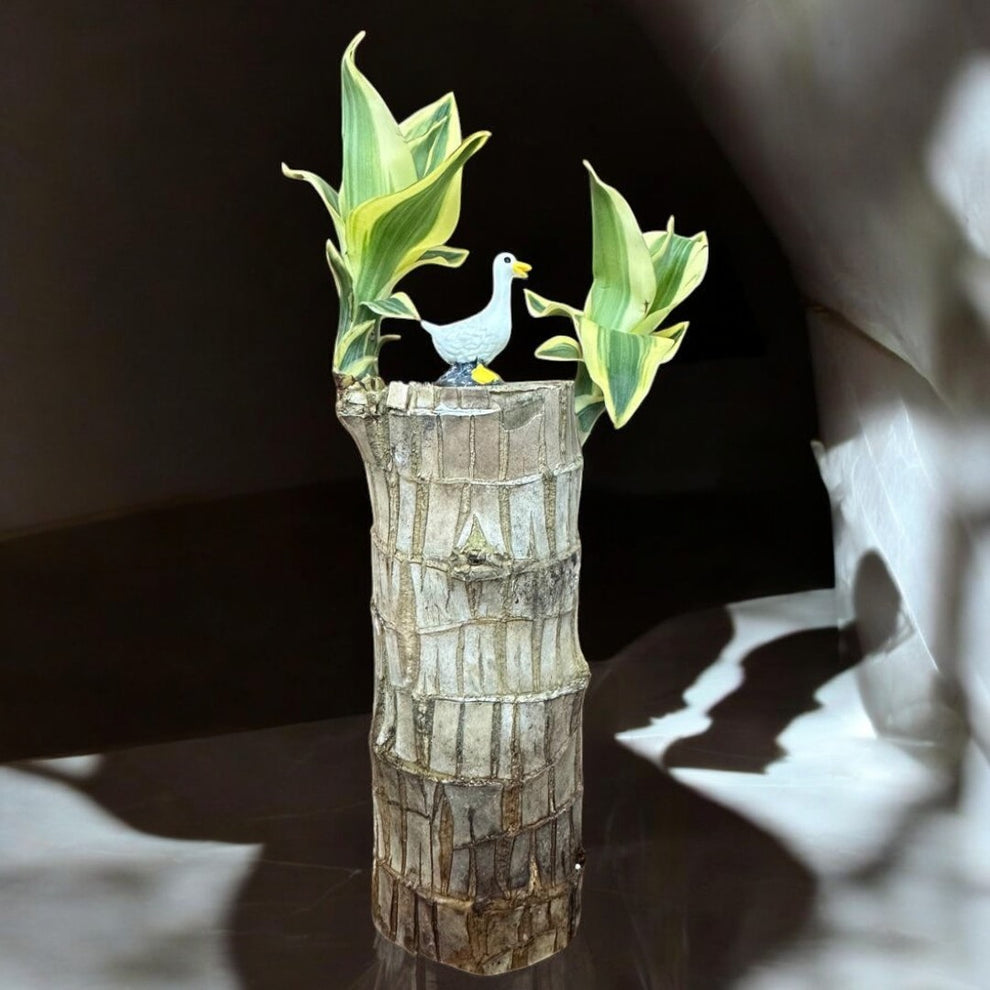 Brazilian Lucky Wood Plant (Pack of 2)