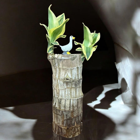 Brazilian Lucky Wood Plant (Pack of 2)